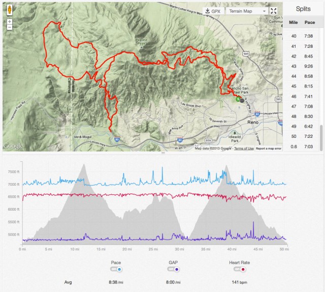 silver state strava