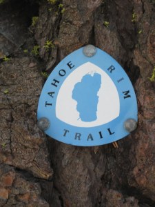 Tahoe Rim Trail 2011 074