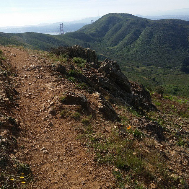 11068082_10206290155596796_1144748969775474625_n